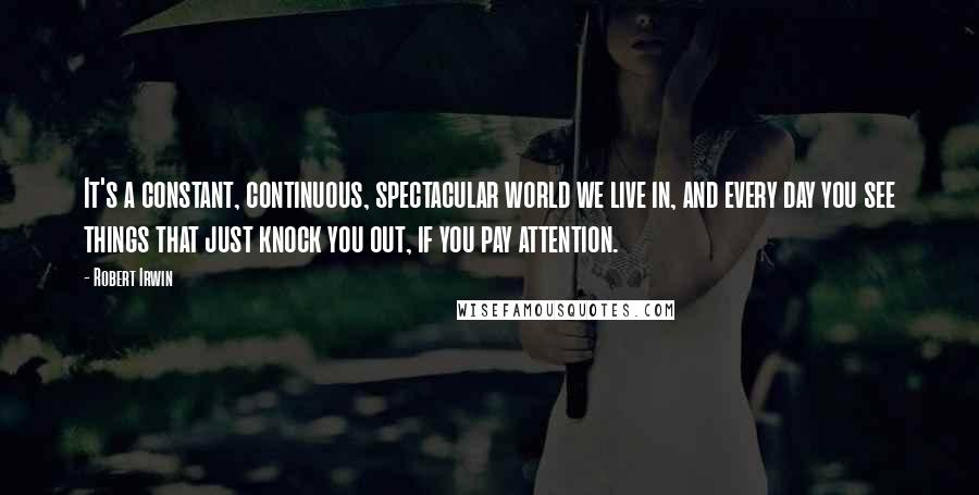 Robert Irwin Quotes: It's a constant, continuous, spectacular world we live in, and every day you see things that just knock you out, if you pay attention.