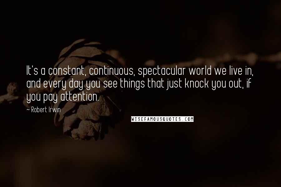 Robert Irwin Quotes: It's a constant, continuous, spectacular world we live in, and every day you see things that just knock you out, if you pay attention.