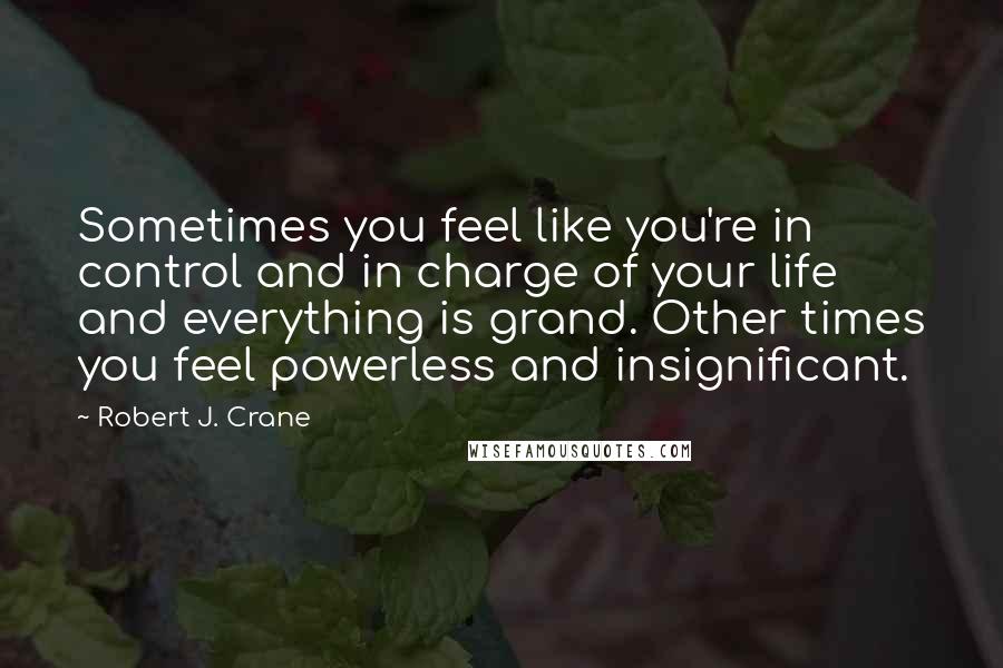 Robert J. Crane Quotes: Sometimes you feel like you're in control and in charge of your life and everything is grand. Other times you feel powerless and insignificant.