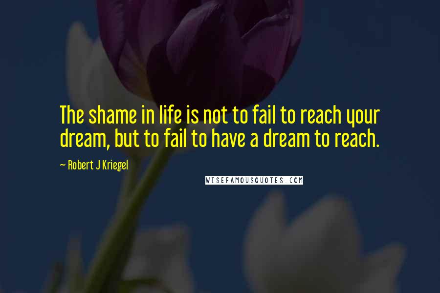 Robert J Kriegel Quotes: The shame in life is not to fail to reach your dream, but to fail to have a dream to reach.