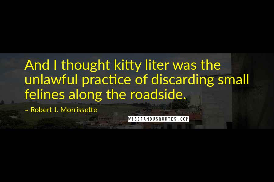 Robert J. Morrissette Quotes: And I thought kitty liter was the unlawful practice of discarding small felines along the roadside.