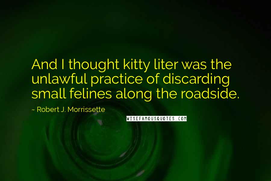 Robert J. Morrissette Quotes: And I thought kitty liter was the unlawful practice of discarding small felines along the roadside.