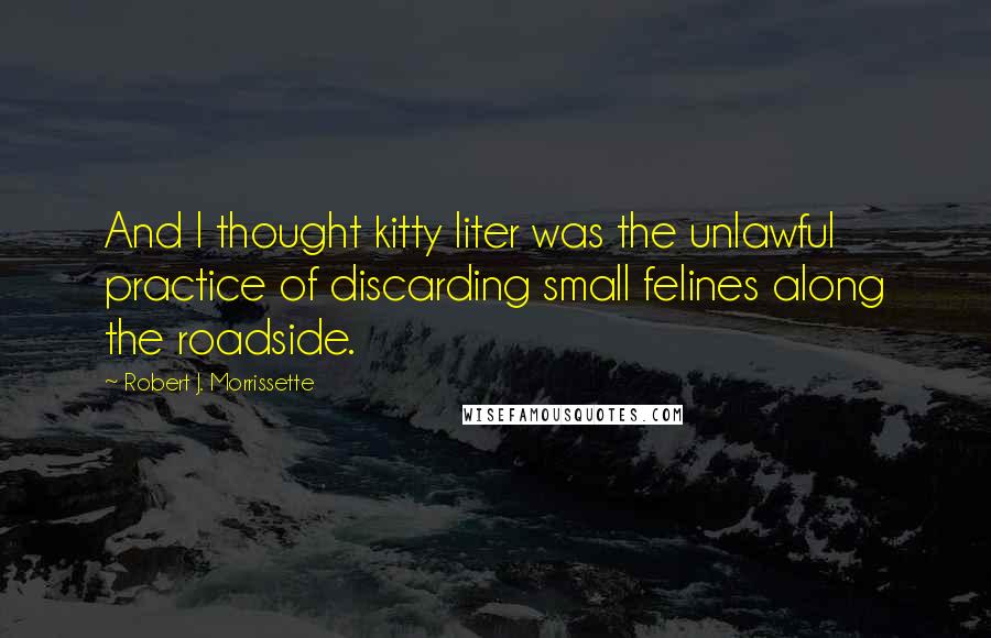 Robert J. Morrissette Quotes: And I thought kitty liter was the unlawful practice of discarding small felines along the roadside.