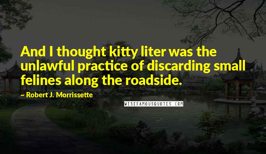 Robert J. Morrissette Quotes: And I thought kitty liter was the unlawful practice of discarding small felines along the roadside.