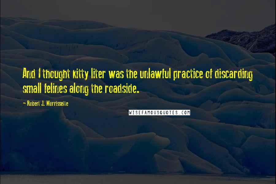 Robert J. Morrissette Quotes: And I thought kitty liter was the unlawful practice of discarding small felines along the roadside.