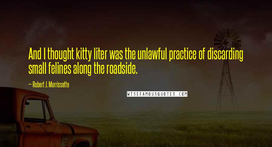 Robert J. Morrissette Quotes: And I thought kitty liter was the unlawful practice of discarding small felines along the roadside.