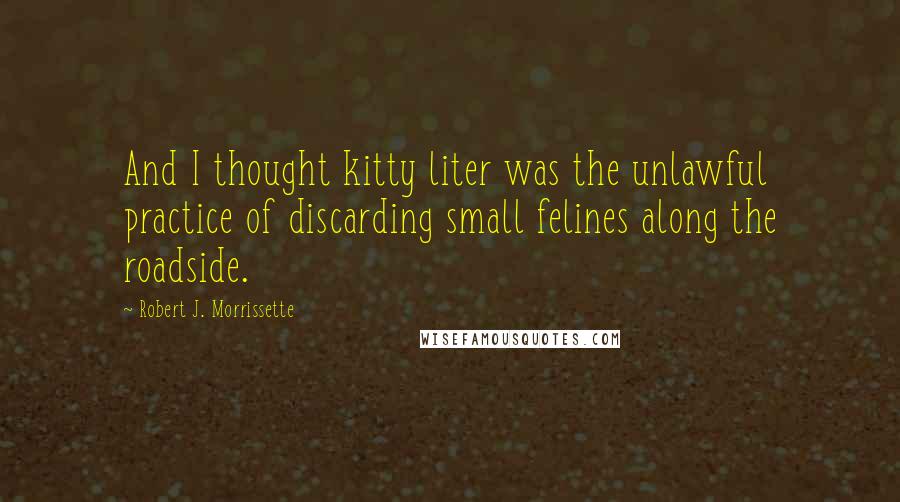 Robert J. Morrissette Quotes: And I thought kitty liter was the unlawful practice of discarding small felines along the roadside.