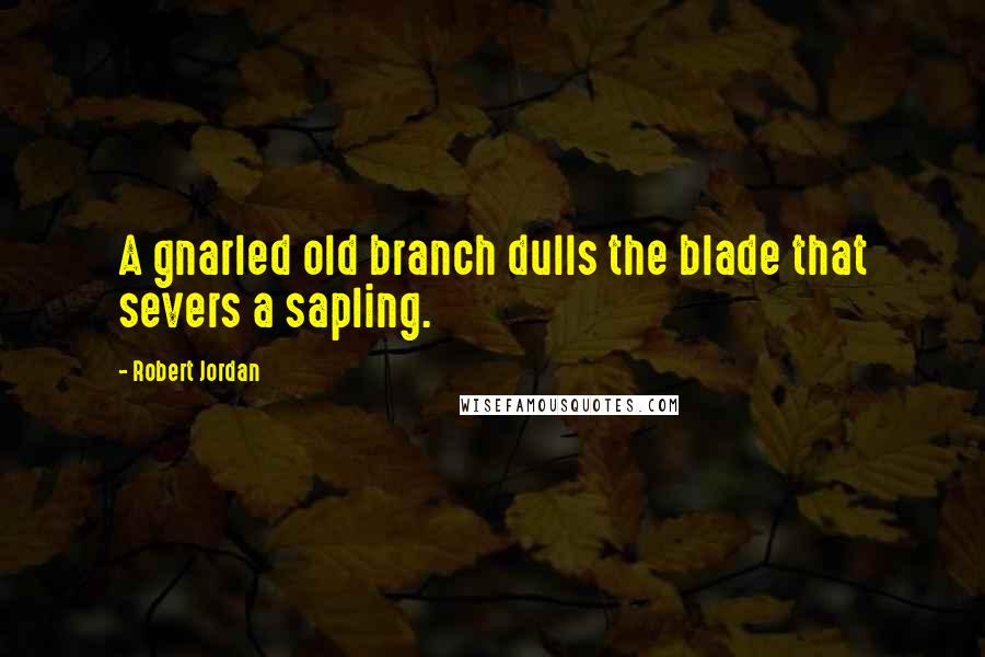 Robert Jordan Quotes: A gnarled old branch dulls the blade that severs a sapling.