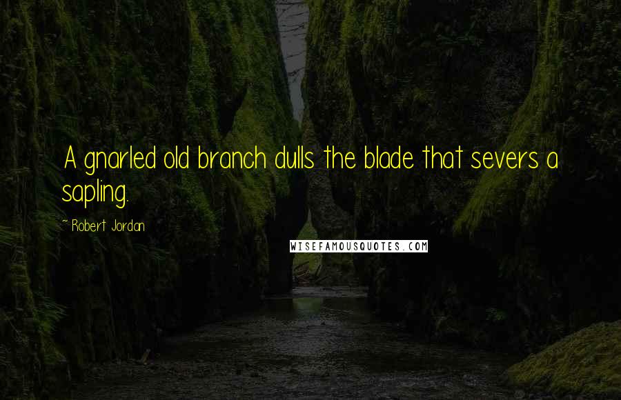 Robert Jordan Quotes: A gnarled old branch dulls the blade that severs a sapling.