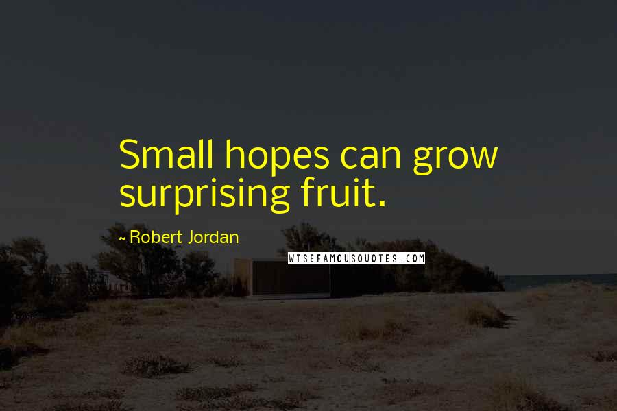 Robert Jordan Quotes: Small hopes can grow surprising fruit.