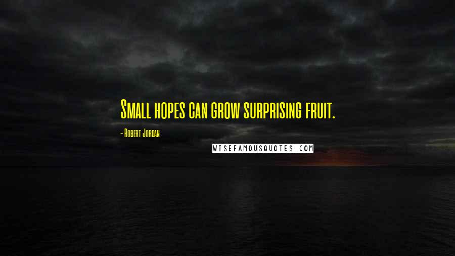 Robert Jordan Quotes: Small hopes can grow surprising fruit.