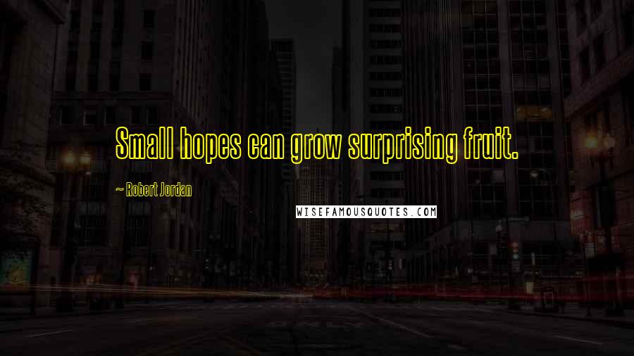 Robert Jordan Quotes: Small hopes can grow surprising fruit.