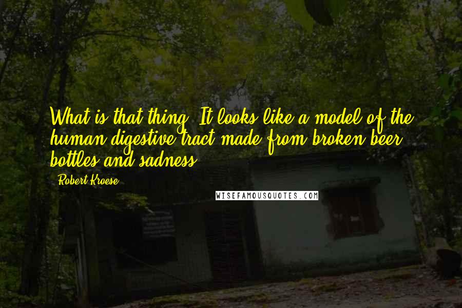 Robert Kroese Quotes: What is that thing? It looks like a model of the human digestive tract made from broken beer bottles and sadness.