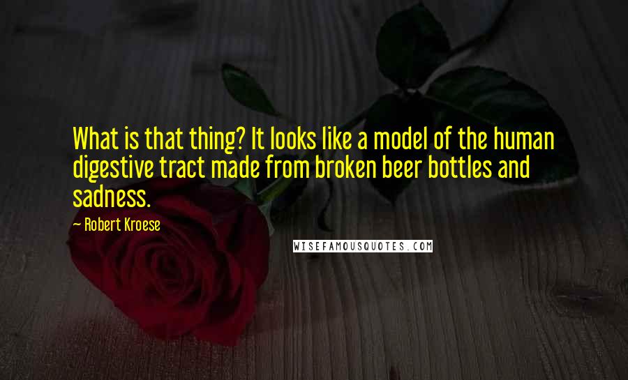 Robert Kroese Quotes: What is that thing? It looks like a model of the human digestive tract made from broken beer bottles and sadness.