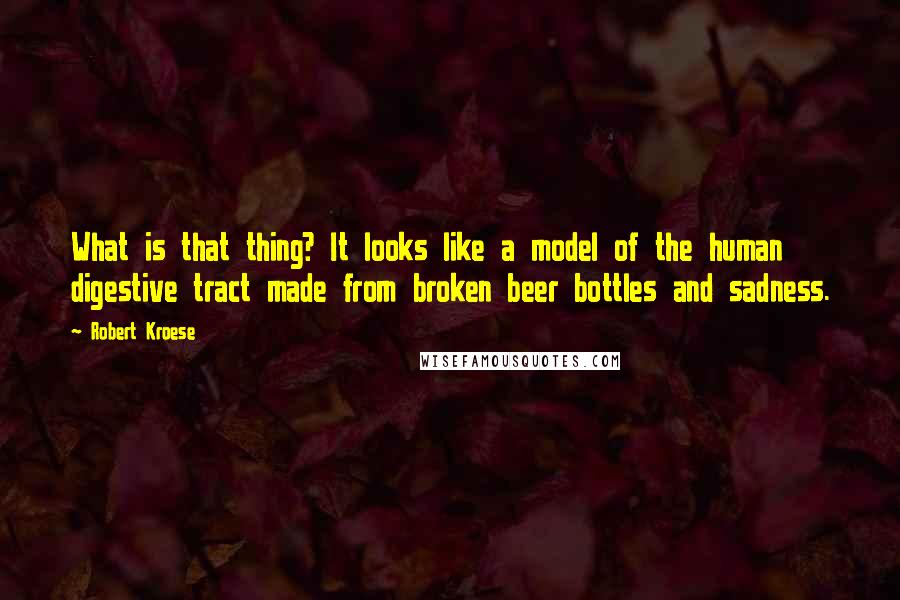 Robert Kroese Quotes: What is that thing? It looks like a model of the human digestive tract made from broken beer bottles and sadness.