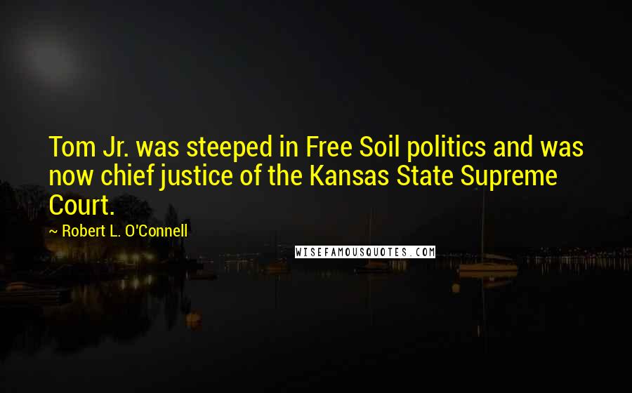 Robert L. O'Connell Quotes: Tom Jr. was steeped in Free Soil politics and was now chief justice of the Kansas State Supreme Court.