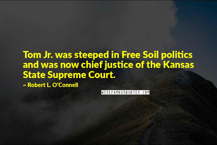 Robert L. O'Connell Quotes: Tom Jr. was steeped in Free Soil politics and was now chief justice of the Kansas State Supreme Court.