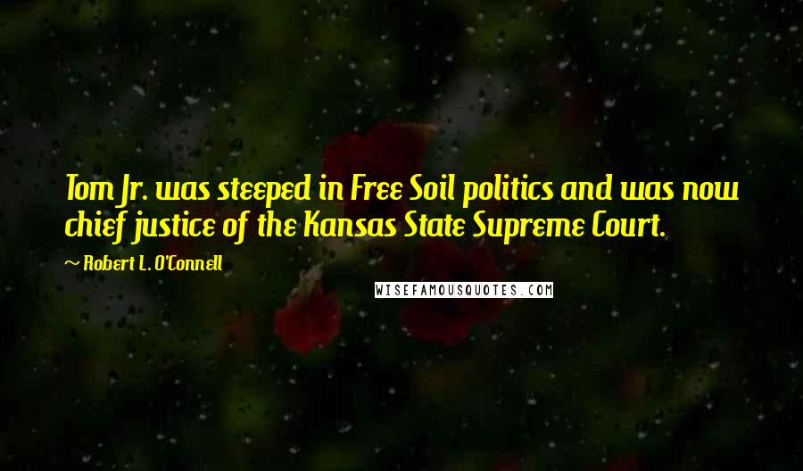 Robert L. O'Connell Quotes: Tom Jr. was steeped in Free Soil politics and was now chief justice of the Kansas State Supreme Court.