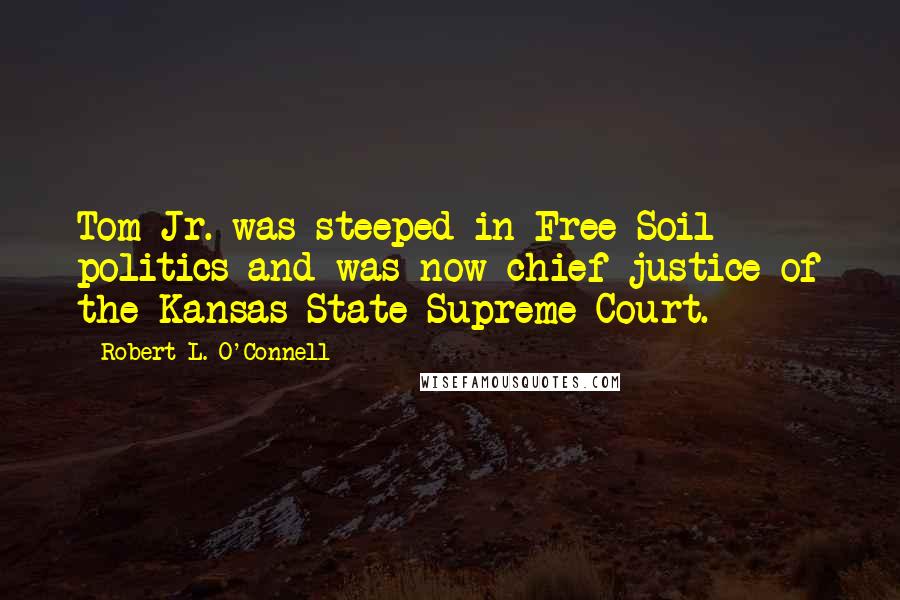 Robert L. O'Connell Quotes: Tom Jr. was steeped in Free Soil politics and was now chief justice of the Kansas State Supreme Court.
