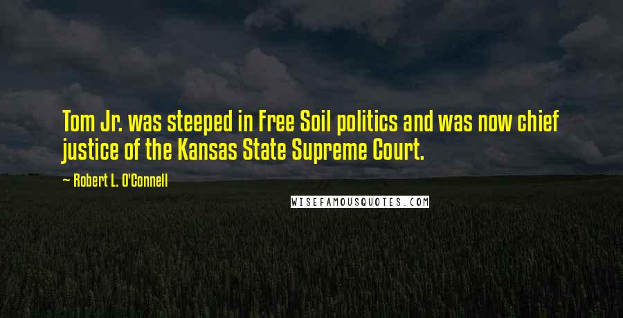 Robert L. O'Connell Quotes: Tom Jr. was steeped in Free Soil politics and was now chief justice of the Kansas State Supreme Court.