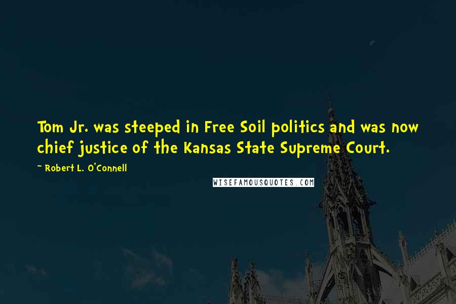 Robert L. O'Connell Quotes: Tom Jr. was steeped in Free Soil politics and was now chief justice of the Kansas State Supreme Court.