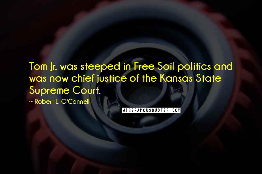 Robert L. O'Connell Quotes: Tom Jr. was steeped in Free Soil politics and was now chief justice of the Kansas State Supreme Court.