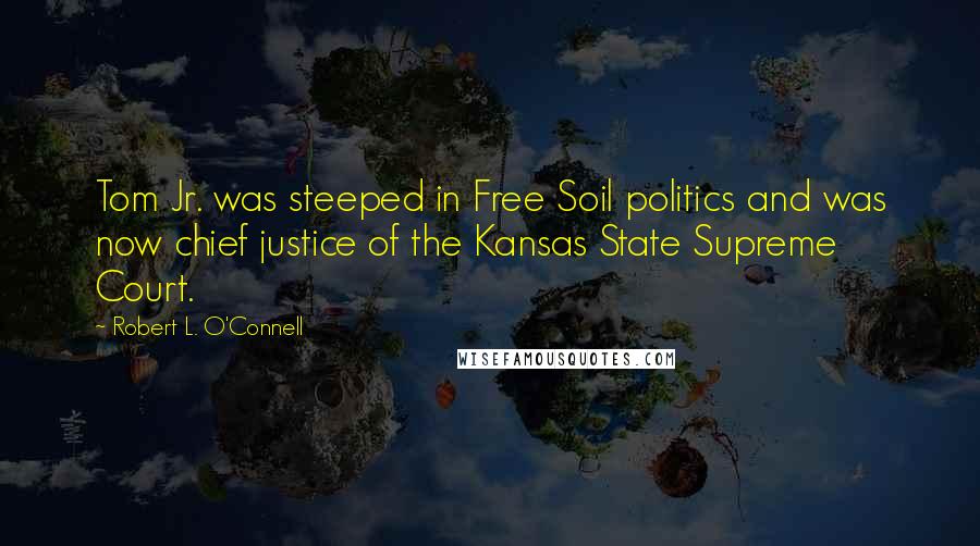 Robert L. O'Connell Quotes: Tom Jr. was steeped in Free Soil politics and was now chief justice of the Kansas State Supreme Court.