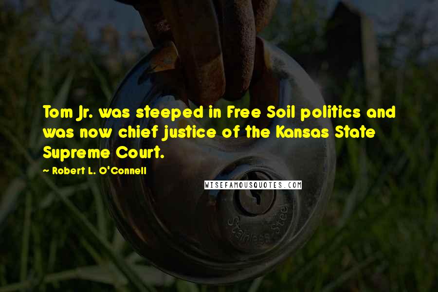 Robert L. O'Connell Quotes: Tom Jr. was steeped in Free Soil politics and was now chief justice of the Kansas State Supreme Court.