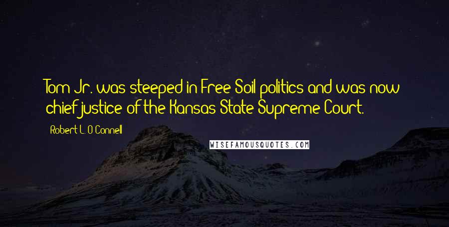 Robert L. O'Connell Quotes: Tom Jr. was steeped in Free Soil politics and was now chief justice of the Kansas State Supreme Court.