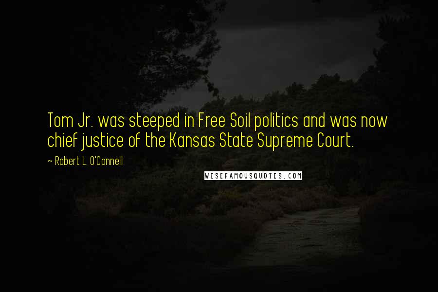 Robert L. O'Connell Quotes: Tom Jr. was steeped in Free Soil politics and was now chief justice of the Kansas State Supreme Court.