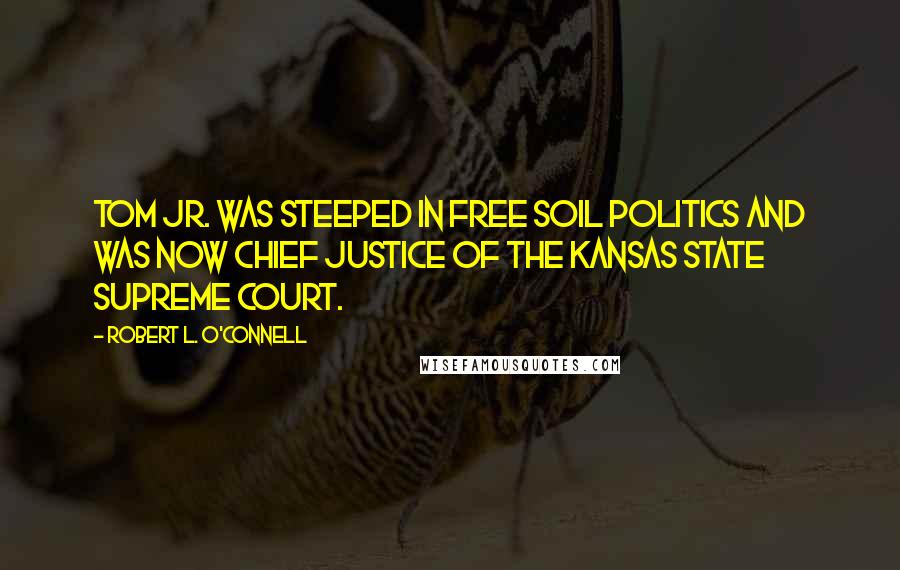 Robert L. O'Connell Quotes: Tom Jr. was steeped in Free Soil politics and was now chief justice of the Kansas State Supreme Court.