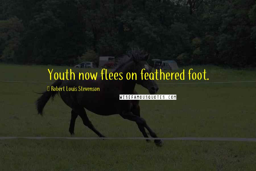 Robert Louis Stevenson Quotes: Youth now flees on feathered foot.