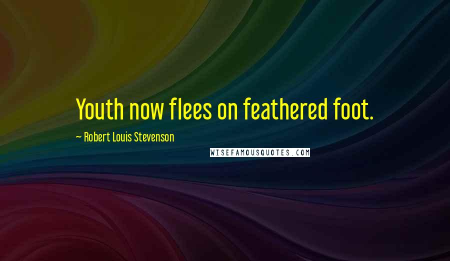 Robert Louis Stevenson Quotes: Youth now flees on feathered foot.