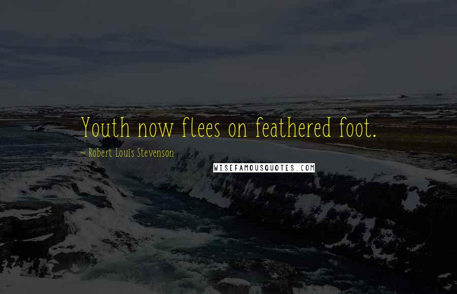 Robert Louis Stevenson Quotes: Youth now flees on feathered foot.