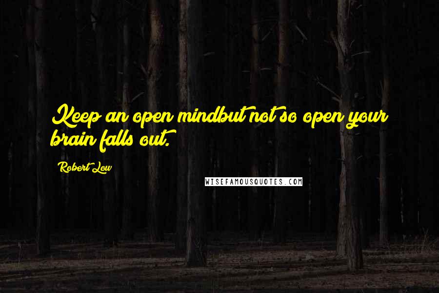 Robert Low Quotes: Keep an open mindbut not so open your brain falls out.