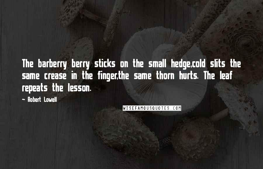 Robert Lowell Quotes: The barberry berry sticks on the small hedge,cold slits the same crease in the finger,the same thorn hurts. The leaf repeats the lesson.