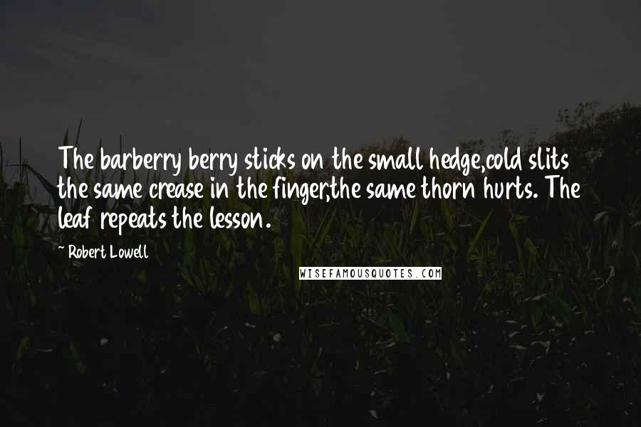 Robert Lowell Quotes: The barberry berry sticks on the small hedge,cold slits the same crease in the finger,the same thorn hurts. The leaf repeats the lesson.