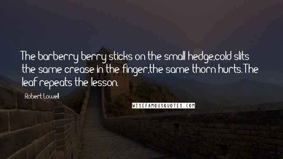 Robert Lowell Quotes: The barberry berry sticks on the small hedge,cold slits the same crease in the finger,the same thorn hurts. The leaf repeats the lesson.