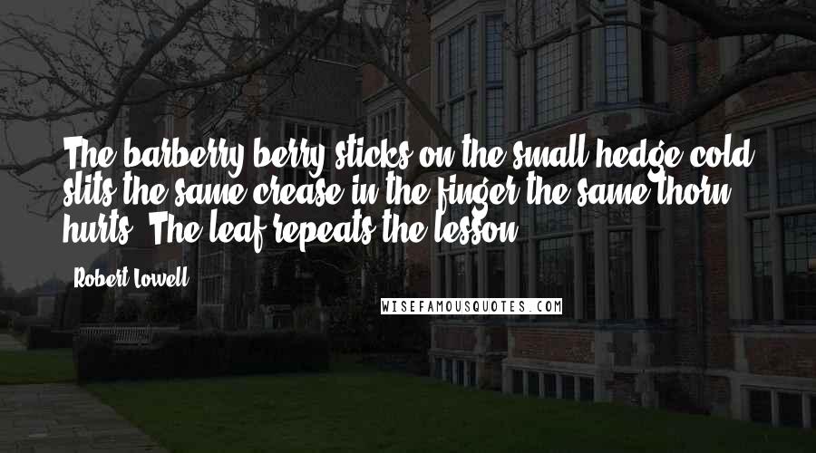 Robert Lowell Quotes: The barberry berry sticks on the small hedge,cold slits the same crease in the finger,the same thorn hurts. The leaf repeats the lesson.