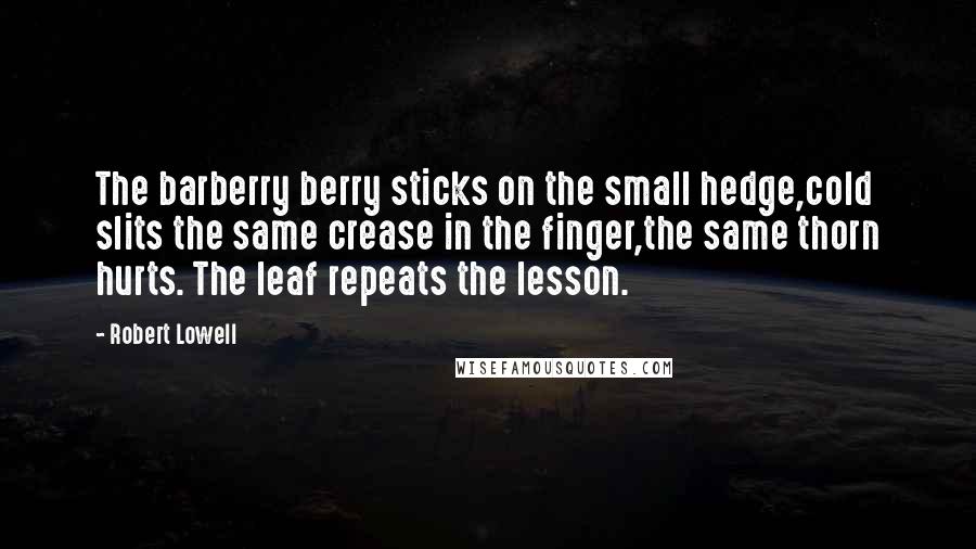 Robert Lowell Quotes: The barberry berry sticks on the small hedge,cold slits the same crease in the finger,the same thorn hurts. The leaf repeats the lesson.