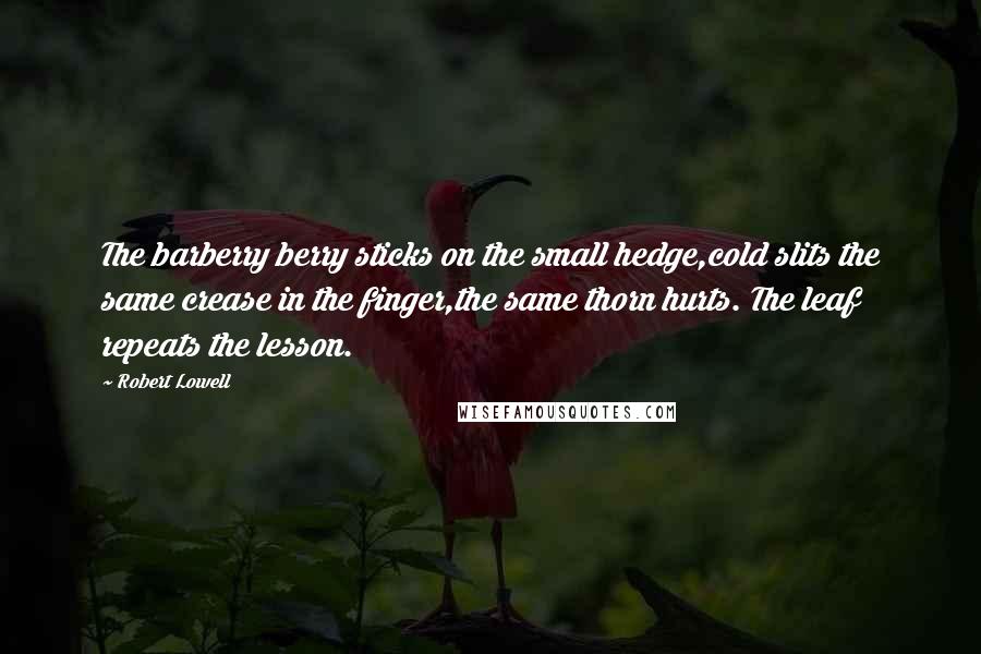 Robert Lowell Quotes: The barberry berry sticks on the small hedge,cold slits the same crease in the finger,the same thorn hurts. The leaf repeats the lesson.