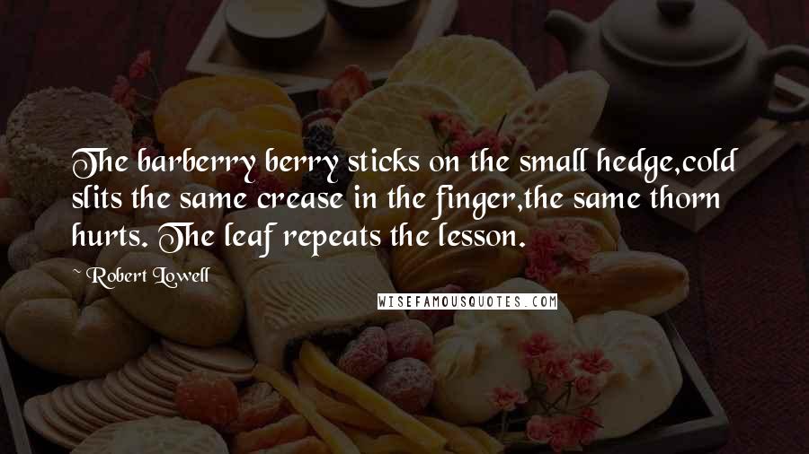 Robert Lowell Quotes: The barberry berry sticks on the small hedge,cold slits the same crease in the finger,the same thorn hurts. The leaf repeats the lesson.