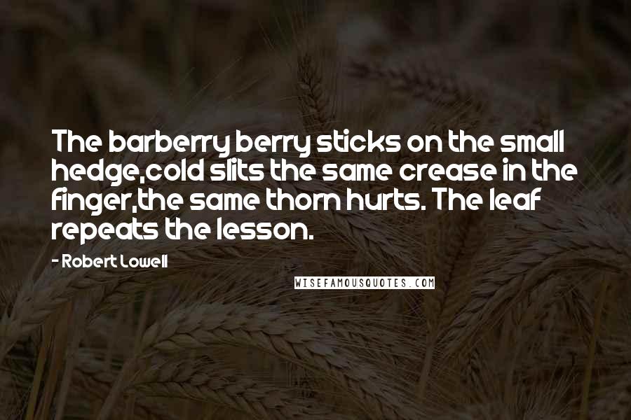 Robert Lowell Quotes: The barberry berry sticks on the small hedge,cold slits the same crease in the finger,the same thorn hurts. The leaf repeats the lesson.