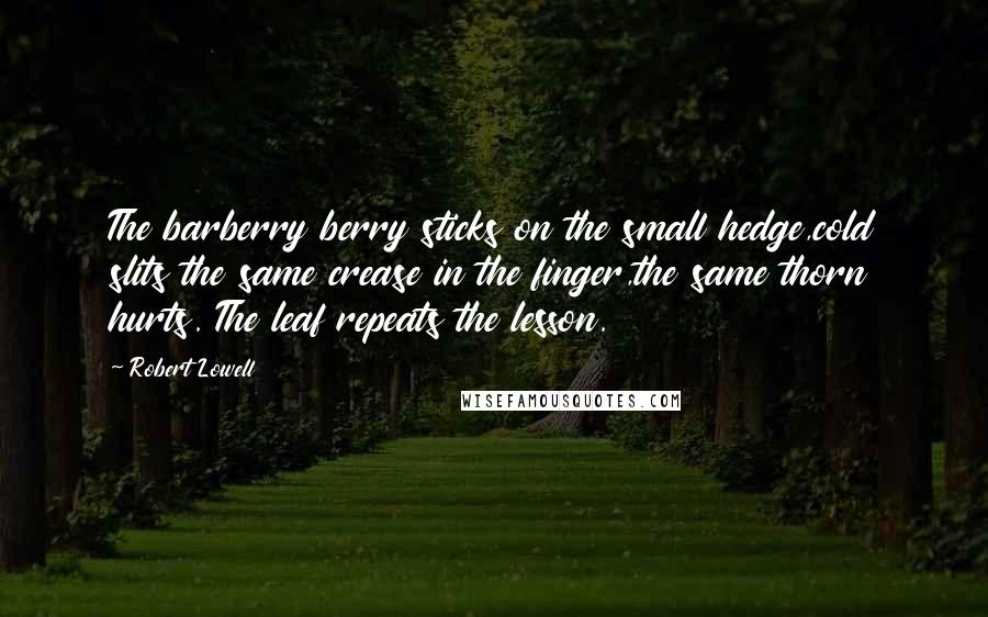 Robert Lowell Quotes: The barberry berry sticks on the small hedge,cold slits the same crease in the finger,the same thorn hurts. The leaf repeats the lesson.