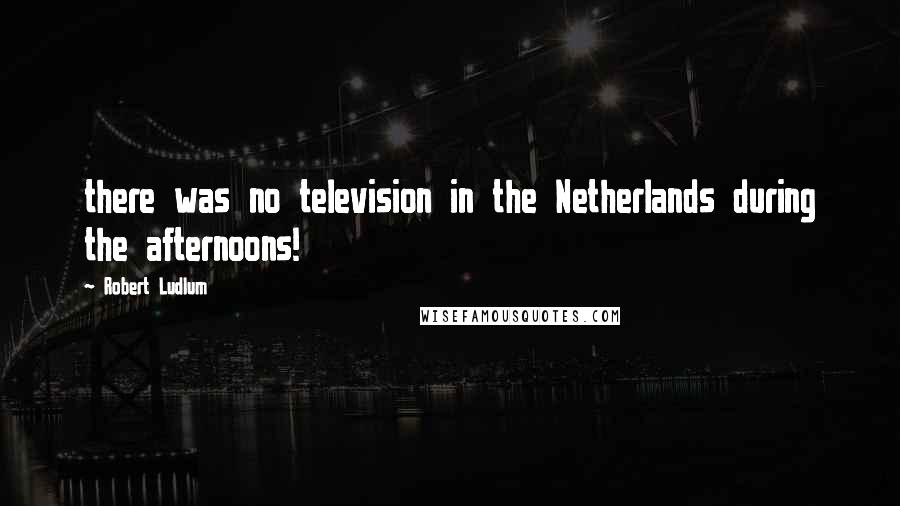Robert Ludlum Quotes: there was no television in the Netherlands during the afternoons!