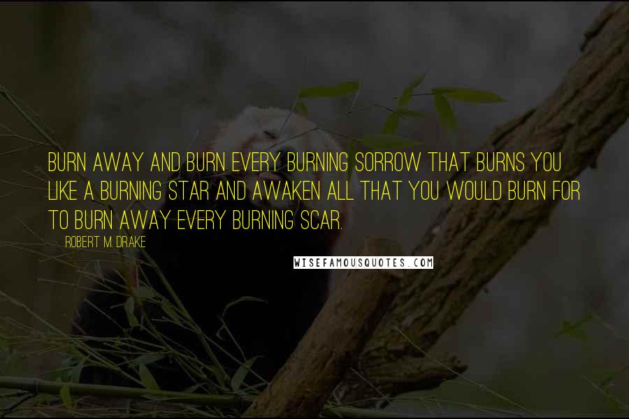 Robert M. Drake Quotes: Burn away and burn every burning sorrow that burns you like a burning star and awaken all that you would burn for to burn away every burning scar.