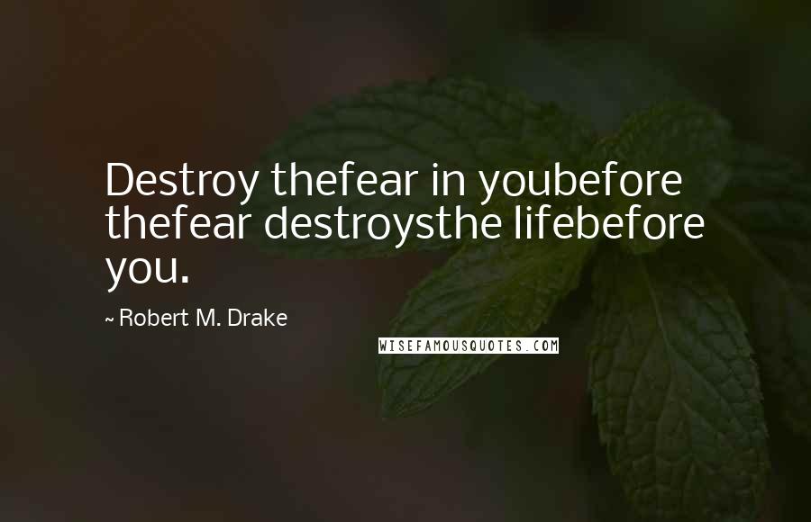 Robert M. Drake Quotes: Destroy thefear in youbefore thefear destroysthe lifebefore you.
