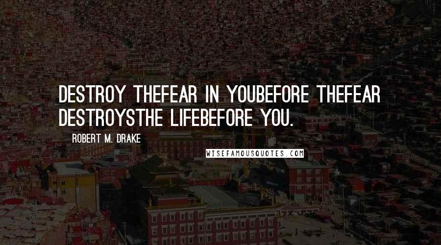 Robert M. Drake Quotes: Destroy thefear in youbefore thefear destroysthe lifebefore you.