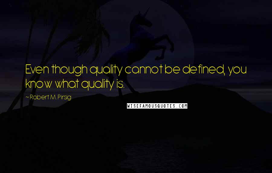Robert M. Pirsig Quotes: Even though quality cannot be defined, you know what quality is.