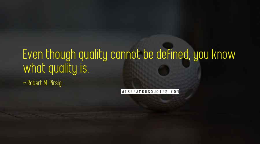 Robert M. Pirsig Quotes: Even though quality cannot be defined, you know what quality is.